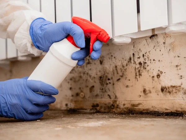 mold removal process using spray